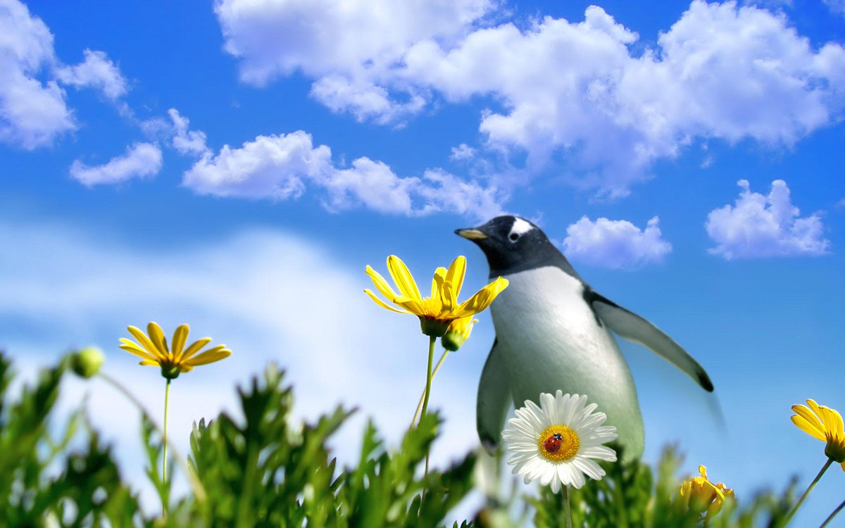 Onze nieuwsbrief is uit! Lees hem hier eepurl.com/btp2fT