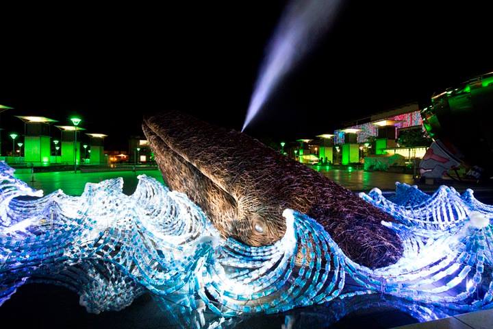 madeinbristol's tweet photo. We are in love with @Bristol_2015 's #BristolWhales in Millenium Sq - have you seen them yet? http://t.co/F2tDranasX