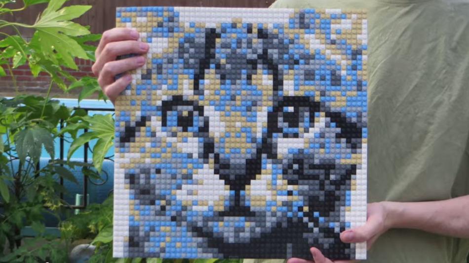 Картины из лего своими руками kötvény következtetés vékony lego cat mosaic Földrajz Erkölcsi nevelés bővülő