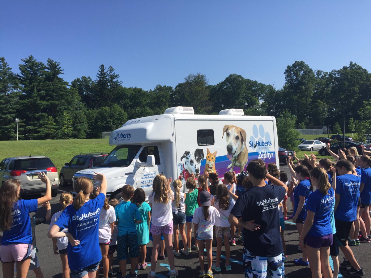 sthubertsanimal's tweet image. #TheZephyr got a send-off from Critter Campers this morning; 38 kitties are on the way to our shelter partner in MA!