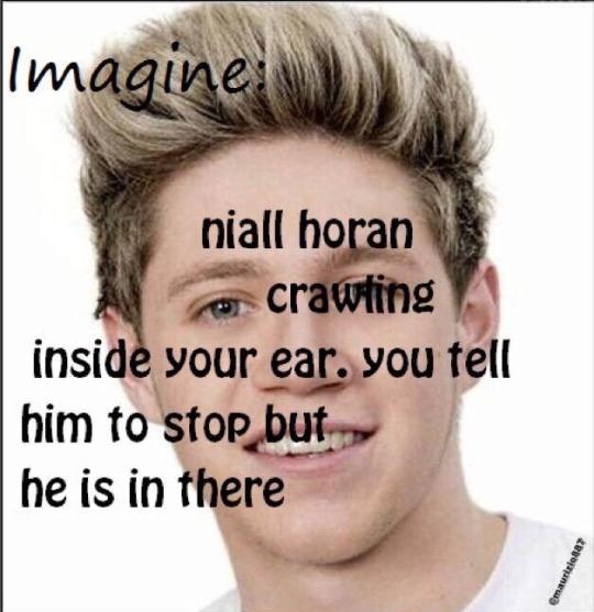 Imagine niall horan crawling inside your ear. you tell him to stop but he is in there