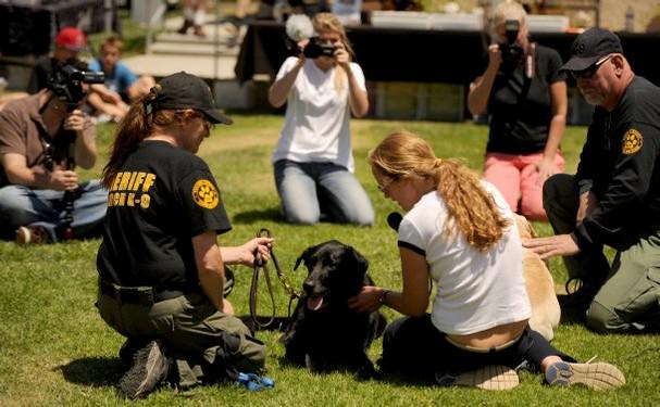 vcsark9's tweet image. K9 Chuey doing a little Public Relations. Chuey is now enjoying the life of a retired K9! #TBT #retirement #vcsark9
