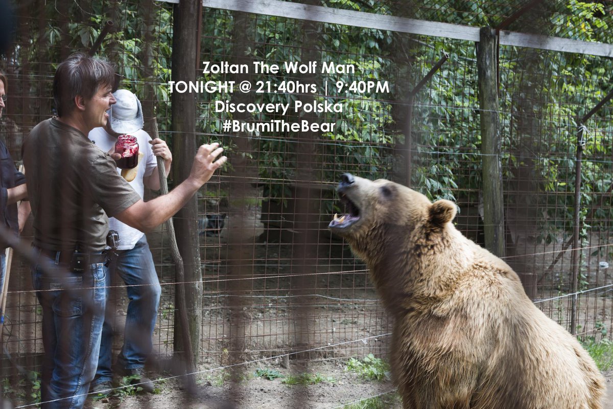 brumithebear's tweet photo. This week on #ZoltanTheWolfMan I get behind the camera for another hard day's work #celebearstatus #WatchOutHollywood http://t.co/JPtAMuRD6S