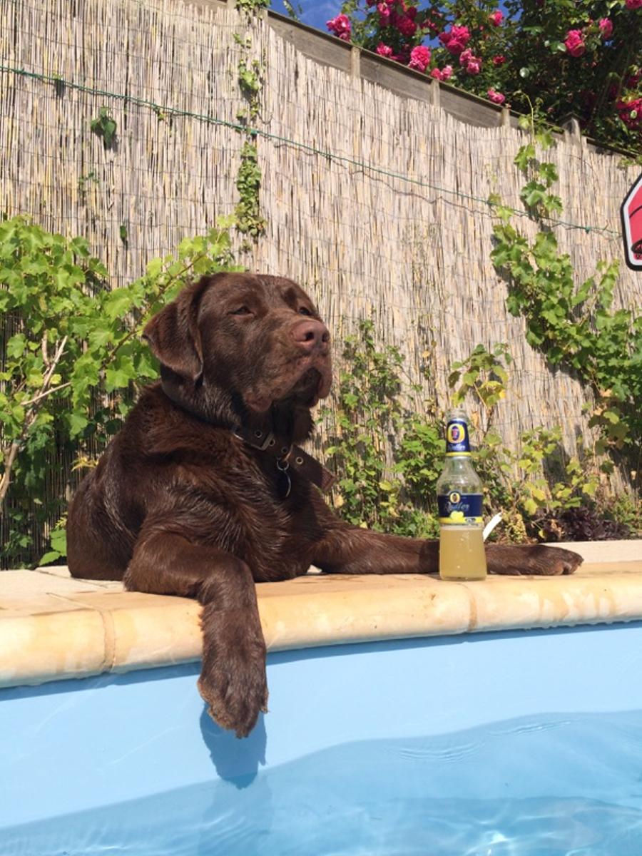 FishersFalcons's tweet photo. I think Oscar enjoyed his break!! http://t.co/YrYnuCBW3x