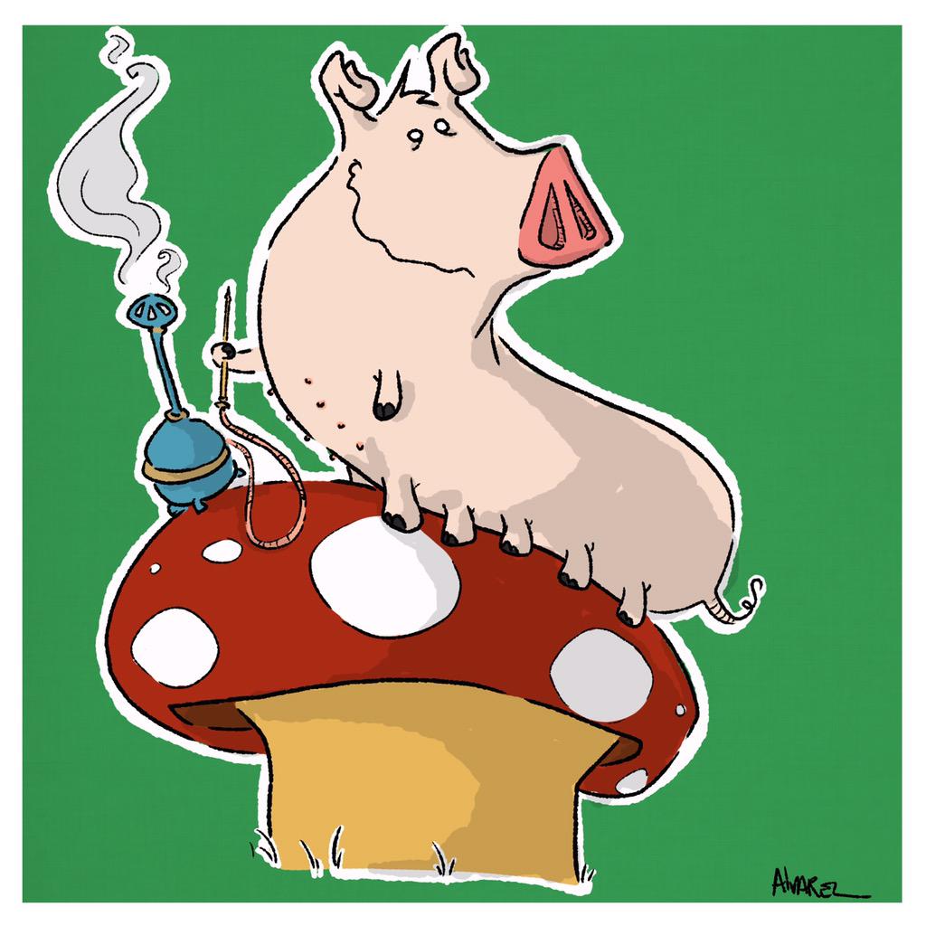 Rollingwalrus's tweet photo. #DailySwine #caterpillar #hookah #smoking #aliceinwonderland #Drawing #Sketch #illustration #mushroom http://t.co/LaUlieO4lR