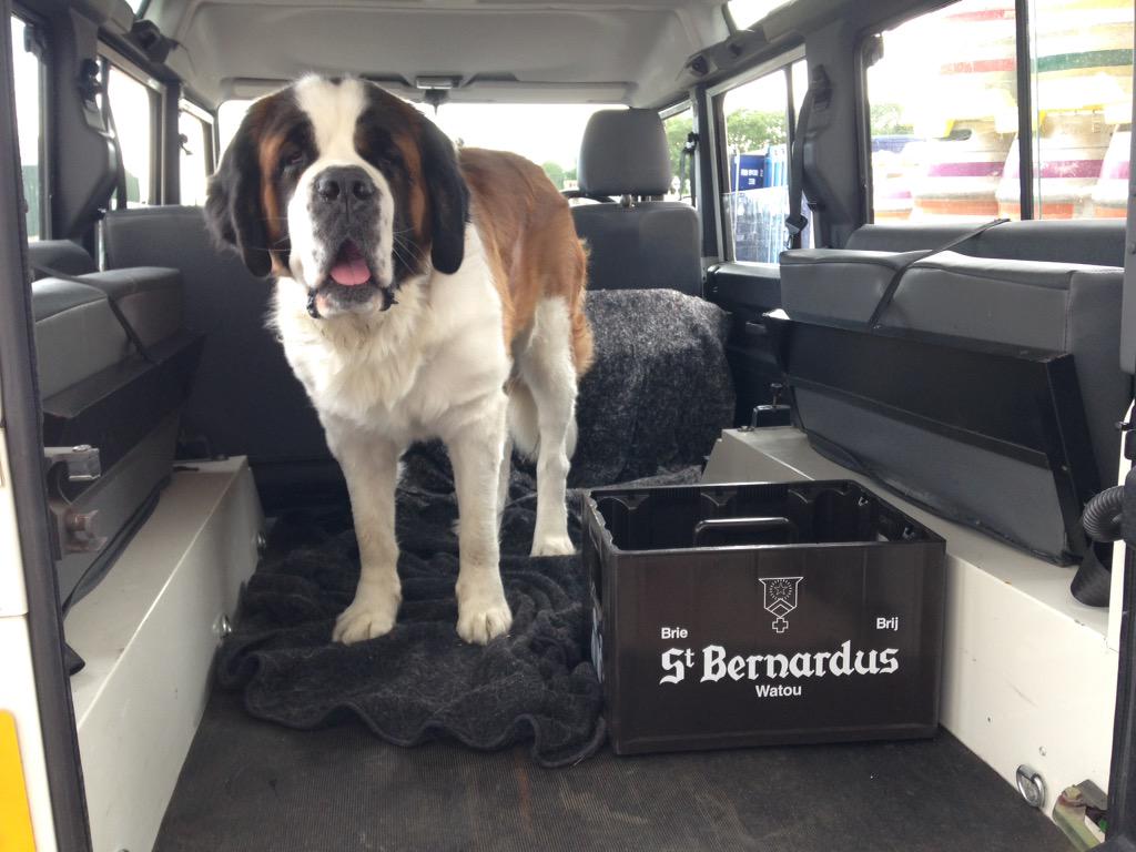 CiderCrendon's tweet photo. One of the specialist Belgian bottled beers through @xtbrew with our Hattie! http://t.co/GDCdtKRNHX