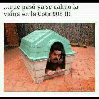 Tania Sarabia (@taniasarabia) on Twitter photo 