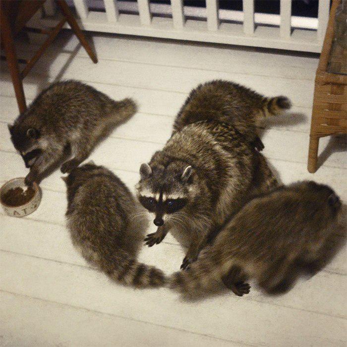 AdMe - Вдохновение tweet media