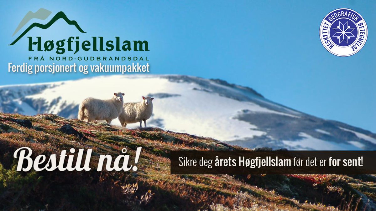 Gå ikke glipp av en unik sjanse til å skaffe deg verdens beste lammekjøtt! 123.no/kampanje/hogfj… #høgfjellslam