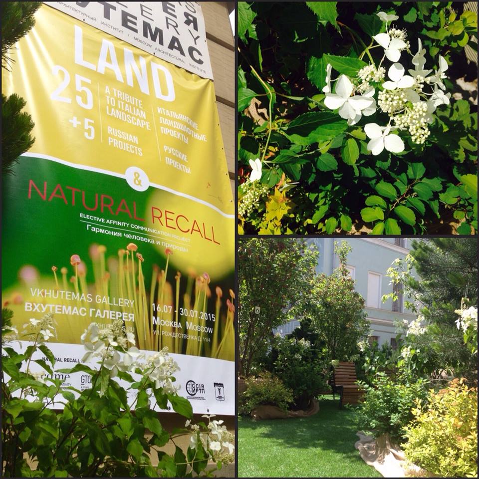 NaturalRecall's tweet image. We wait for you tonight, 6.30p.m. at #VkhutemasGallery to enjoy the exhibition and the amazing garden by @Roofingreen