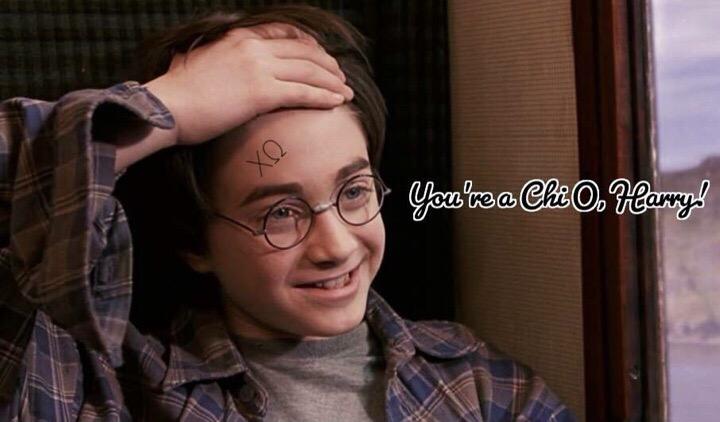 Mercer Chi Omega (@chio_merceru) on Twitter photo 