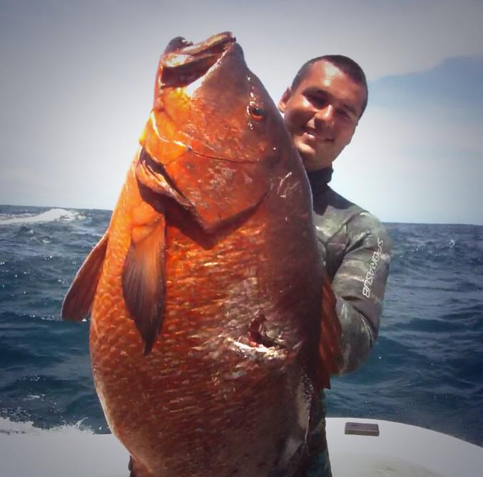 SeaHuntExtreme's tweet image. One of my big #cuberasnapper from a few years ago #speared while #freediving