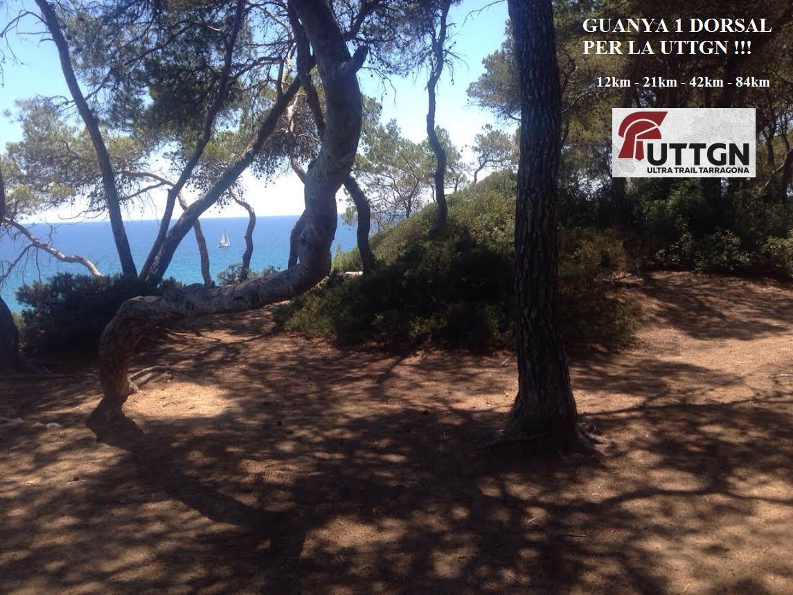 Fes RT i si ets follower de <a href="/esportistesCAT/">Esportistes.cat</a> entraràs al SORTEIG de 1 DORSAL GRATIS x la Ultra Trail Tarragona <a href="/UTTGN/">UTTGN</a>