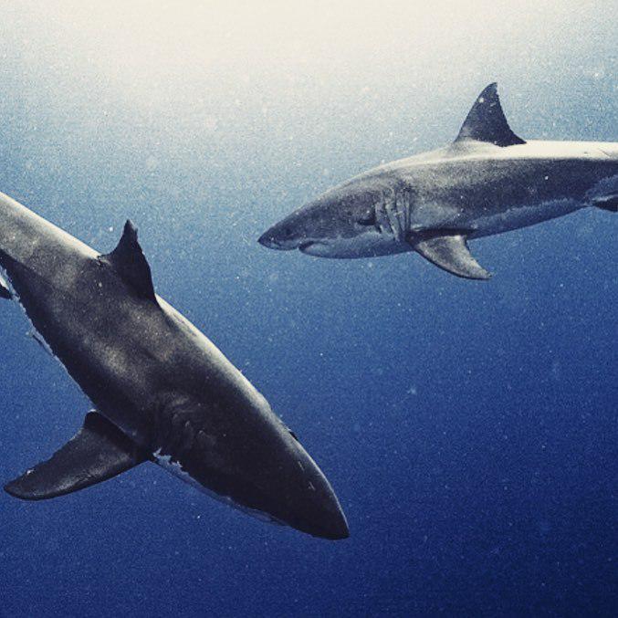 Like my freeways here in LA.......