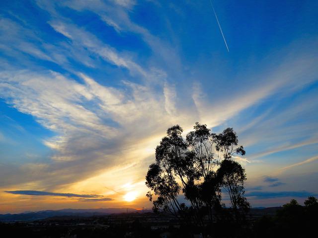 petra_herz's tweet photo. Listen to the latest #Blogtalkradioshow
How the #blessings can #transform my #life
http://t.co/uRcNpv8QYt http://t.co/BlYHAqILi1