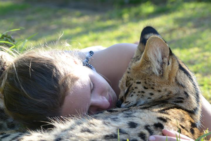 Claim2Victory's tweet image. Want to get a hands on exp with South Africa's wildlife? Apply to volunteer today! Claimvic@gmail.com for more info!