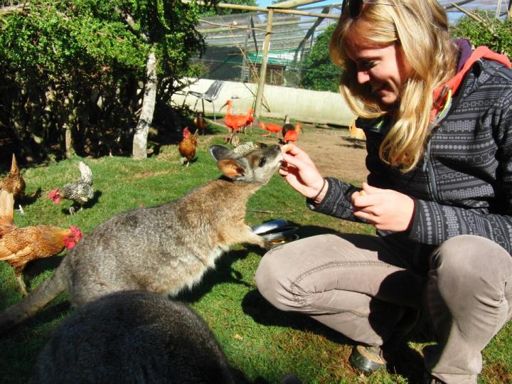 Claim2Victory's tweet image. Want to get a hands on exp with South Africa's wildlife? Apply to volunteer today! Claimvic@gmail.com for more info!