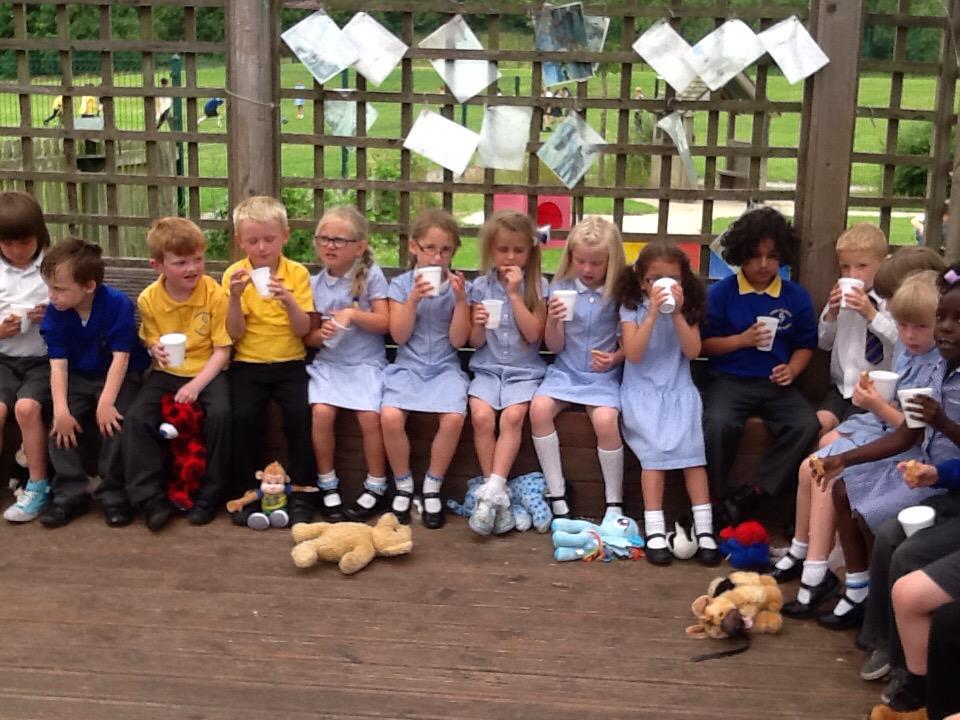 MissAldisClass's tweet photo. Biscuits and milk shake at the teddy bears picnic. The teddies want to share. @Mcgovernclass http://t.co/uhHepRjyAv