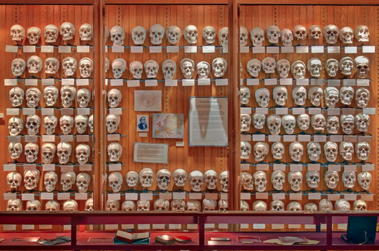 VICEUK's tweet photo. Meet the living people who collect dead human remains: http://t.co/mMrxSMTVh4 http://t.co/HK23lLg8PS