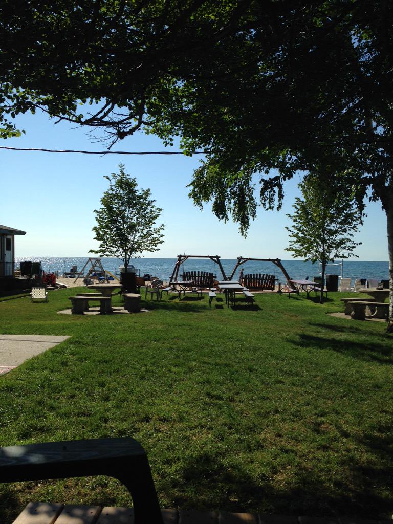 emma meier tweet media