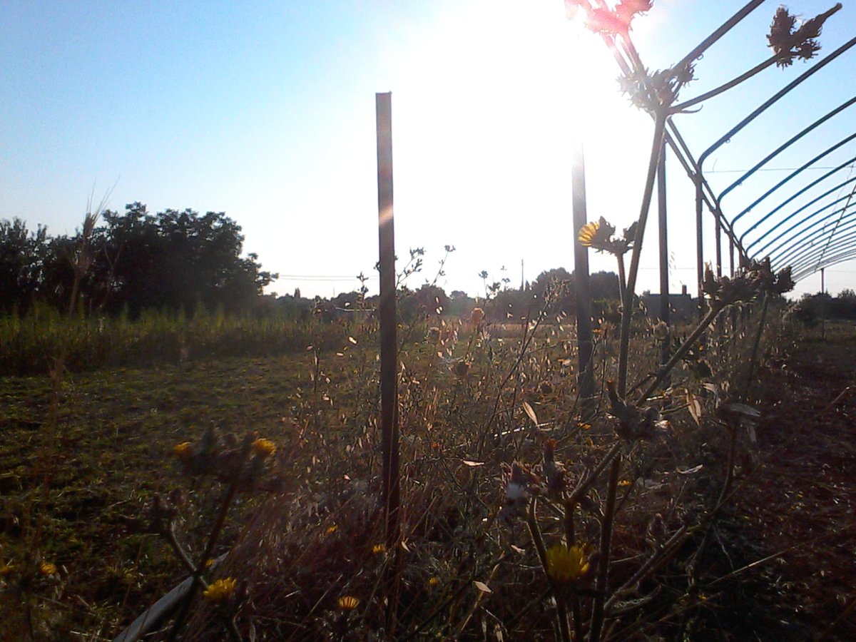 Luna_LabRurale's tweet photo. ne #lamiaterra mi trovo, mi sveglio, mi scopro 
http://t.co/rKdpTFh75t http://t.co/pdqIhMZqP7