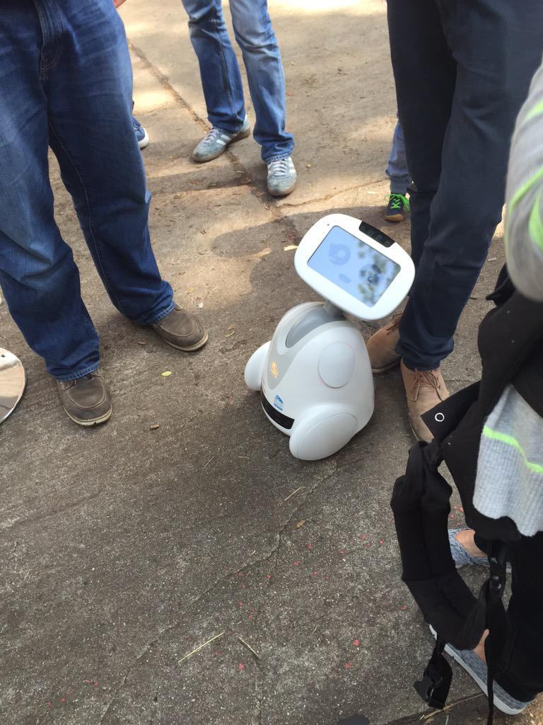 JillPetz's tweet image. Fell in love with a little French robot #TOA15 #adoptbuddy