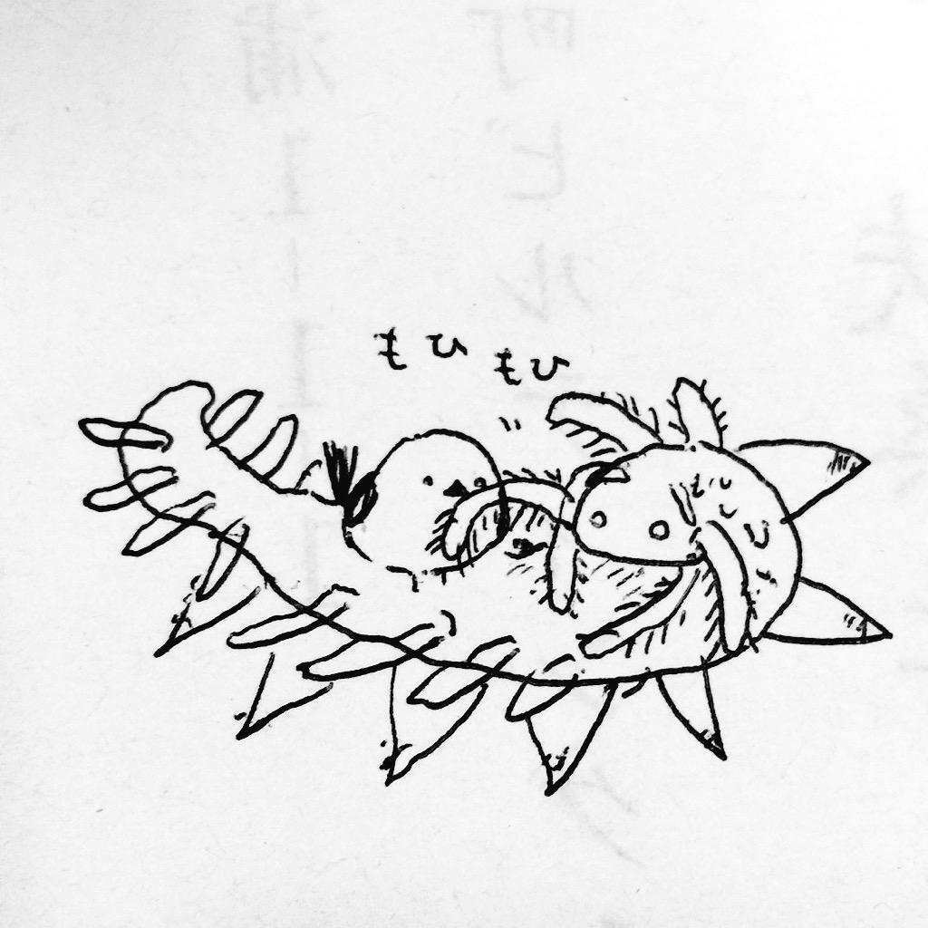 シマエナガちゃんとコリモン 