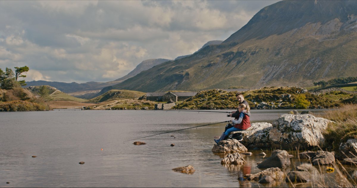 Leaves in Fall tweet media