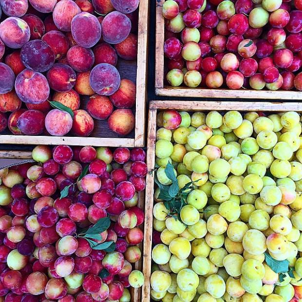 bonappetit's tweet photo. How to choose the best fruit at the market (hint: follow your nose) http://t.co/6pYYuCZQUq http://t.co/acUBJMekcA
