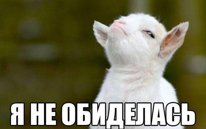 _Funmix_ tweet picture