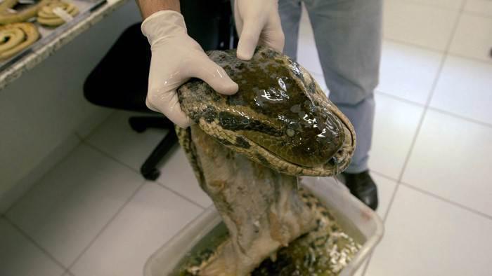 GdCentr4l's tweet photo. #RAPPEL Cet été, #LEPOQ Hors-série c'est le jeudi à 22h55, avec ce soir des animaux rigolos... http://t.co/udZWBXwnbh http://t.co/RmEk40KzOg