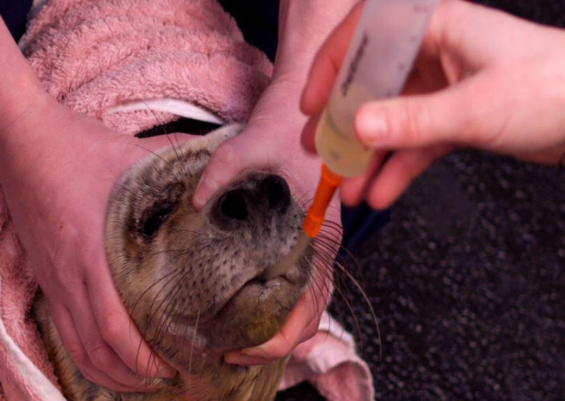 STV Edinburgh tweet media