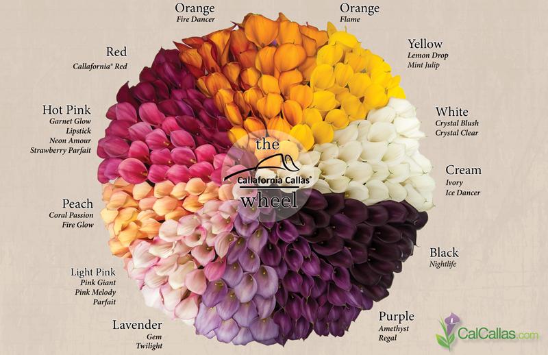 CalBulbs tweet picture
