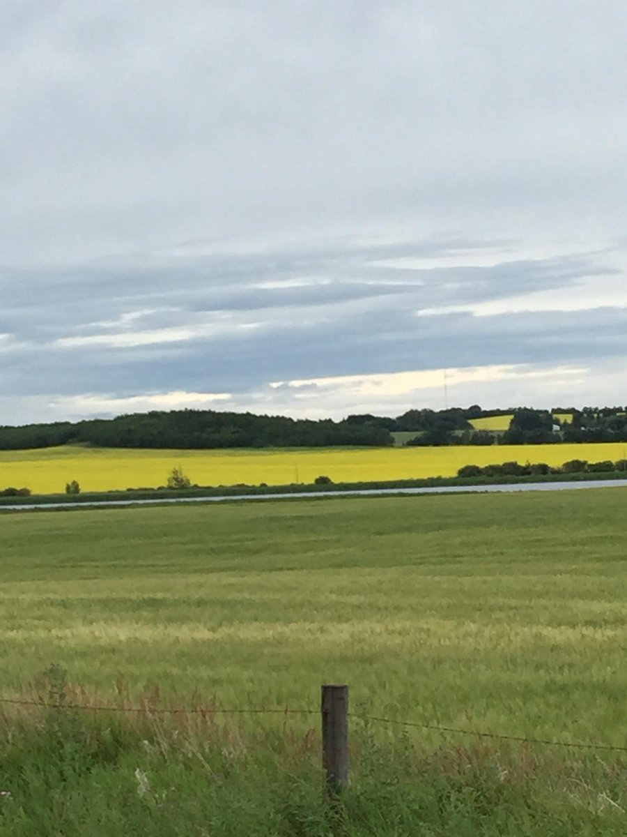 RebelsandLace's tweet photo. Cruisin' the prairies :) #country #roadtrip #alberta #roots #smalltown http://t.co/WHrM6ESPLA