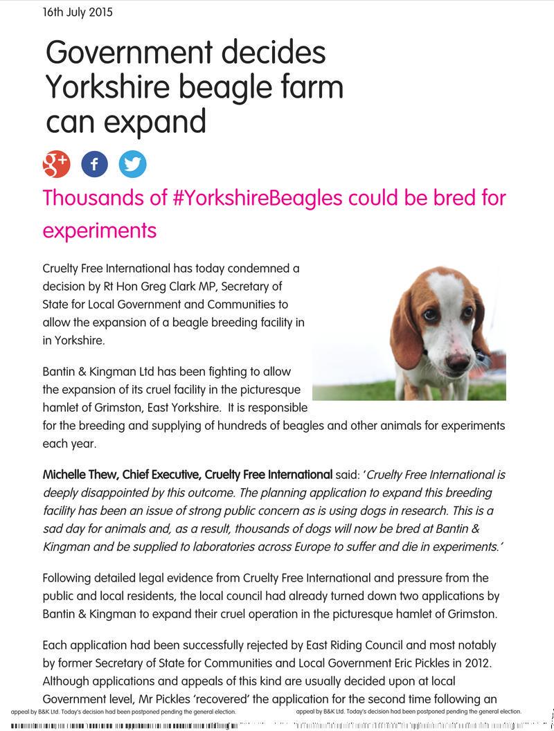 ginachron's tweet photo. #UK must abolish use of Beagles in #AnimalTesting
https://t.co/mMZuraiPjc
#beaglefreedom @UKRunFree @loridowney3 http://t.co/x5UJaDNCXF