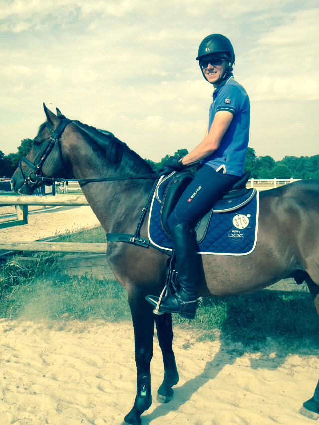 laradelied's tweet photo. My stallions at jardy #ogilvyequestrian #veredus #missingriding http://t.co/6s3keYnd3V
