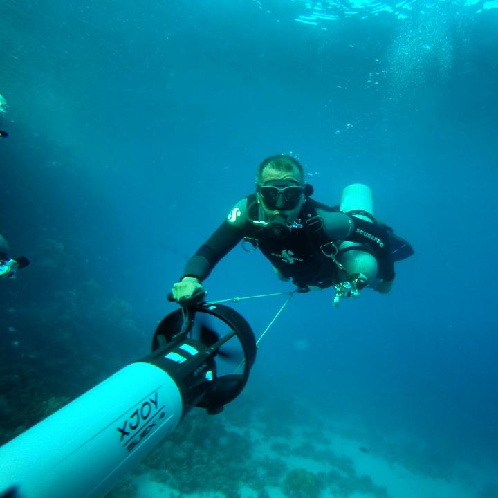 3arabawy's tweet photo. #Monkeydiving at Marsa Shouna 🐒 http://t.co/aKA9CN3MkN