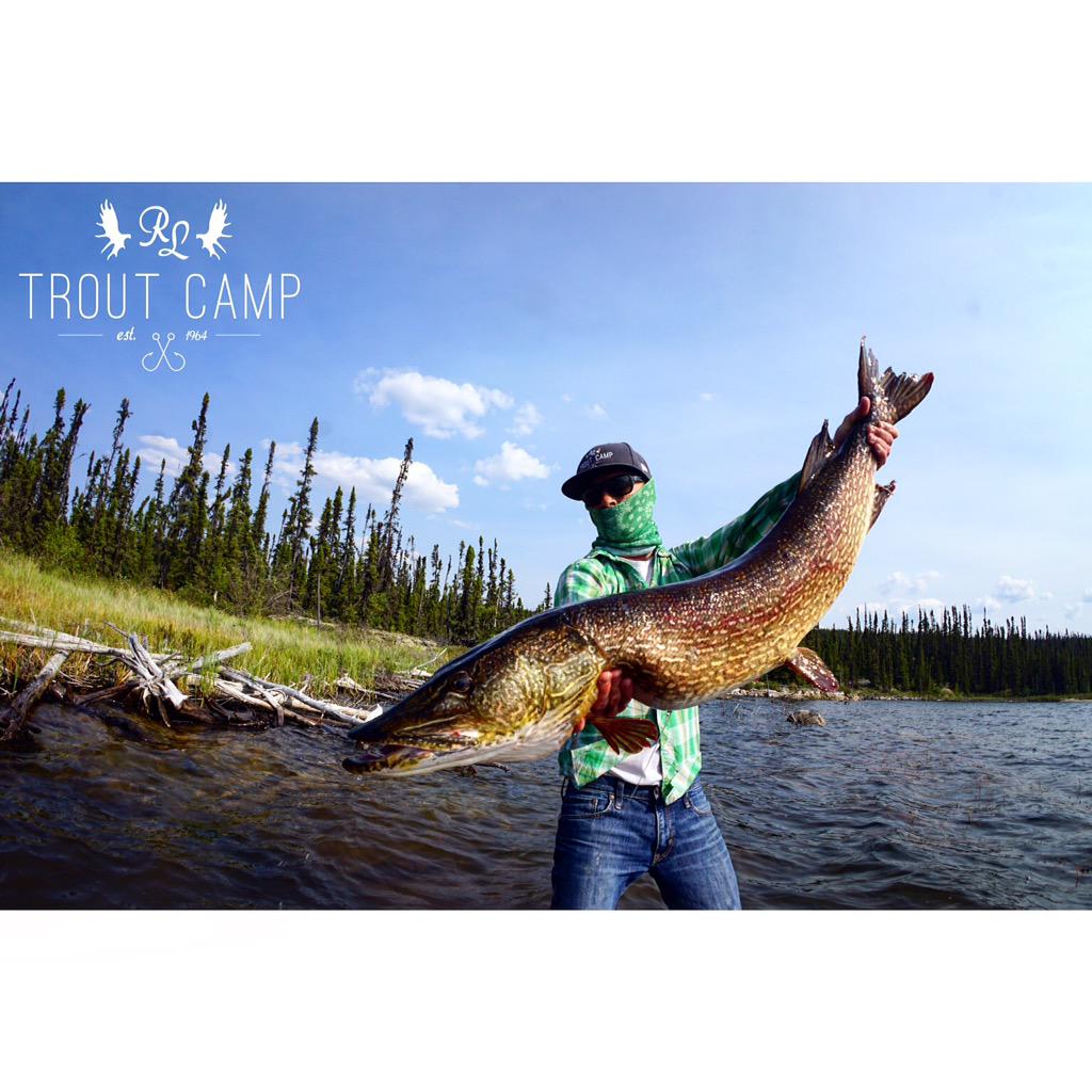 RLTroutCamp's tweet photo. We are giving away a fishing trip! Head over to our Instagram page for the details! 🎣🇨🇦

https://t.co/f2bKg4G6dH http://t.co/gObPlFNoGg