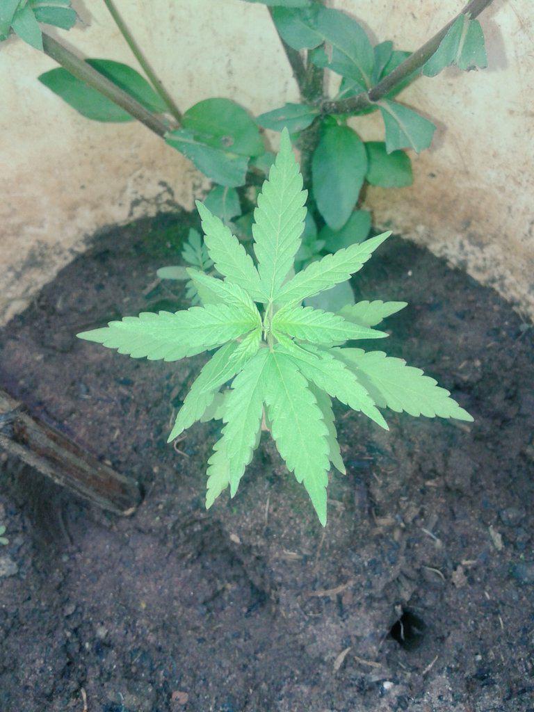 Noiadeira's tweet photo. 🍁❤ http://t.co/QydaLvMh3P