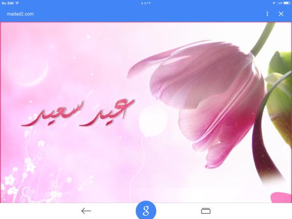Najla Kaaki (@najlakaaki) on Twitter photo 