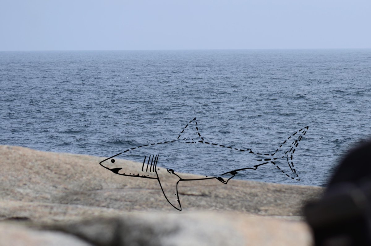 Tony Einfeldt tweet media