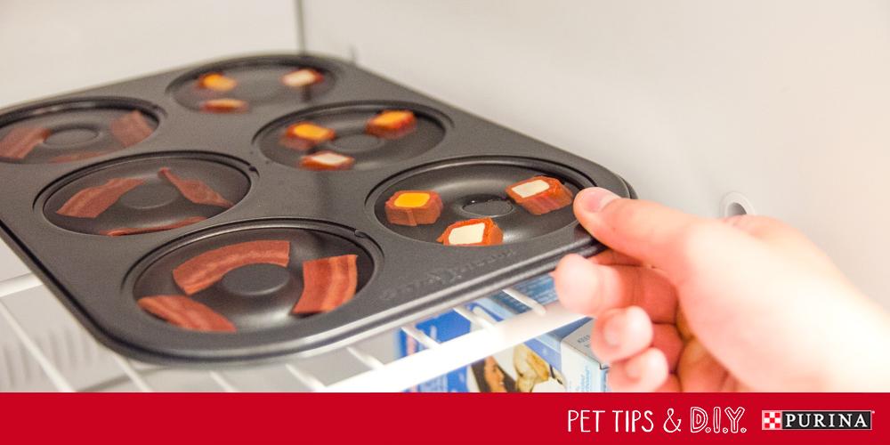 TrixieMattix's tweet photo. “@Purina: Treat your dog to this cool #DIY @Beggin pupsicle! #PetLifeHack http://t.co/fKBUjWoBC1” @SpencerMattix yes please ❤️
