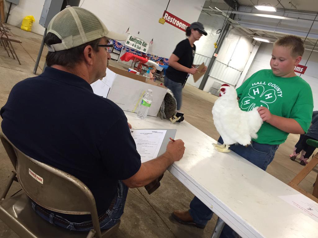 stevewhitenews's tweet photo. The @4HHoopla poultry show at the county fair looks a little different this year #4HNE http://t.co/HwzVGgBQDk