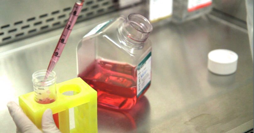 StBaldricks's tweet photo. Team of Researchers Targets DNA to Help Kids With Hard-to-Treat Leukemias: https://t.co/pijpr20VjO https://t.co/puZFGmDXed