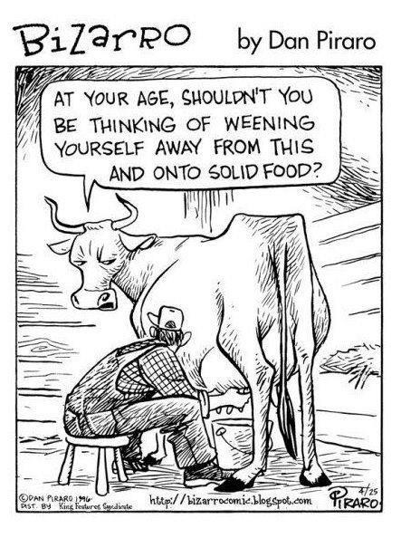 vegancuts's tweet image. Adults don&apos;t need to drink mother&apos;s milk to be healthy.... Especially not from another species.... #StrangeBehaviour