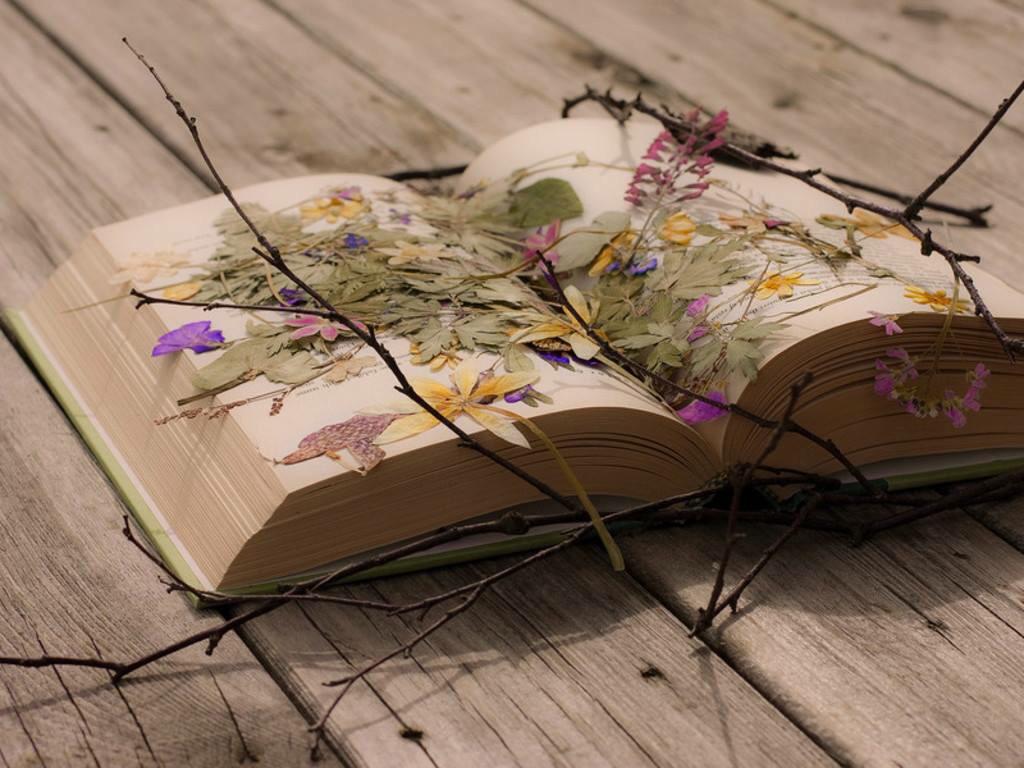tonivaughnify's tweet photo. #curtisalcutt #novelist #scriptwriter Simon&Schuster http://t.co/RJMErLVmDm #filmmaker #investworthy #scriptready http://t.co/WV0vlTNaKj