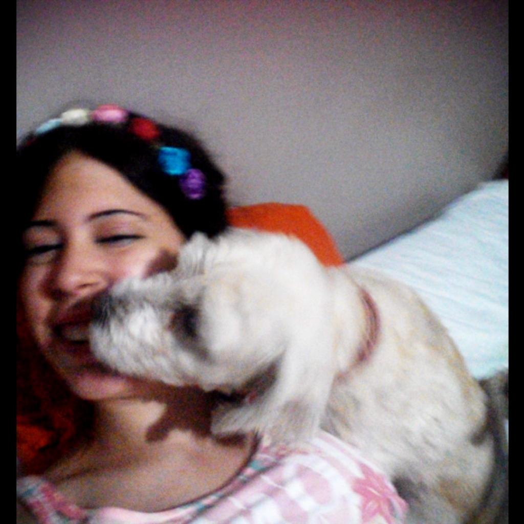 johna951's tweet image. All you need is love and a tender kiss💞🐩