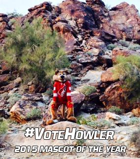 #VoteHowler for 2015 Mascot of the Year! Voting ends Monday, July 20!

@ArizonaCoyotes 
mascotinsider.com/fourth-annual-…
