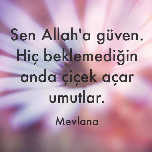 M.Reşid Kostakoğlu (@mresidkostak) on Twitter photo 