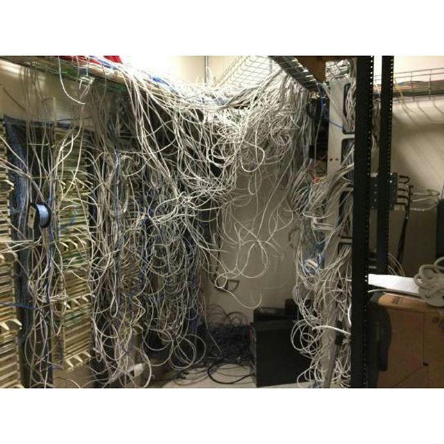 DanielRL1982's tweet image. A ver quién tiene cojones a peinar eso!  #ITDisasters #Pollo